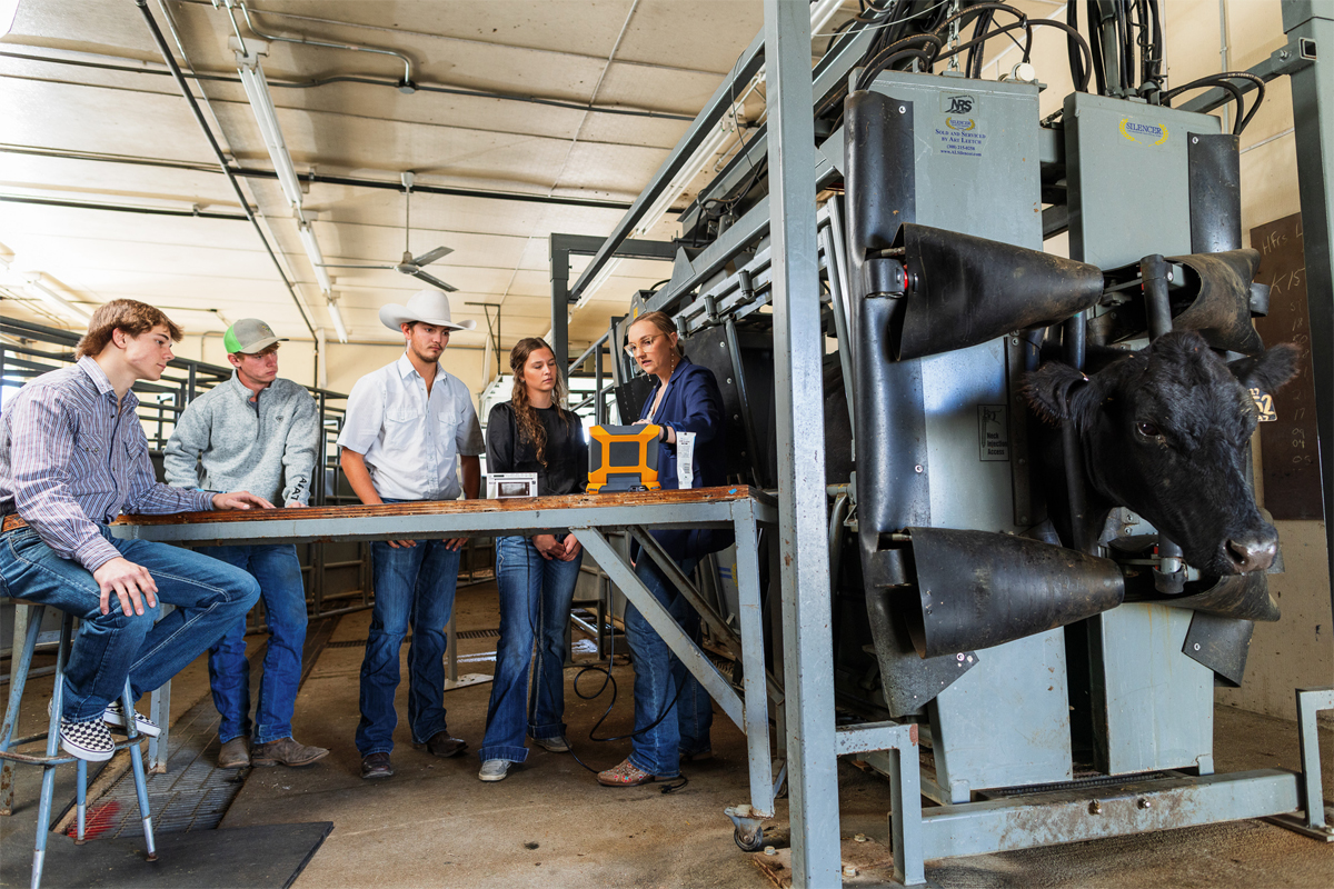 Agriculture - Livestock Management & Production